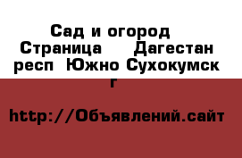  Сад и огород - Страница 3 . Дагестан респ.,Южно-Сухокумск г.